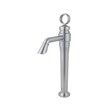 Anita model Rasan kitchen faucets