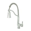 Flat Rasan kitchen sink faucet, Baran model