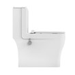 Arta monoblock toilet