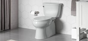 مزایای استفاده از توالت فرنگی