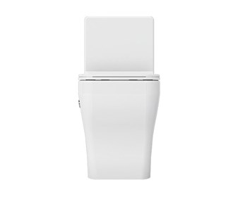 Arta monoblock toilet