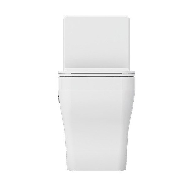 Arta monoblock toilet