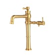 Elyse model Rasan kitchen faucet