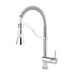 Baran model Rasan kitchen sink faucet