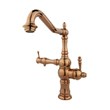 Rasan kitchen faucet, Lisa model